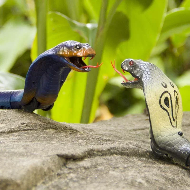 RC Snake Realistic Snake Toys  - огляд і ціна Ir Infrared Receiver